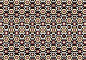 Fototapeta - Šesťuholník (254x184 cm)