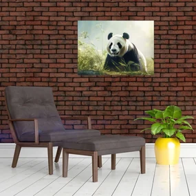 Sklenený obraz - Panda (70x50 cm)