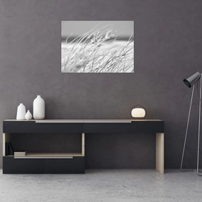 Sklenený obraz - Plážová tráva (70x50 cm)