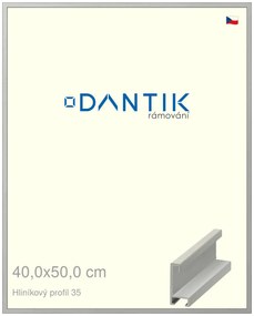 DANTIK rám na obraz 40x50 | ALU Dýha barevná šedá (Sklo Čiré)