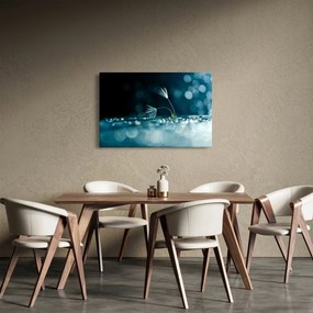Obraz - Makro (90x60 cm)