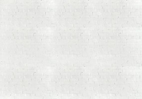 Fototapeta - Biele tehly (254x184 cm)