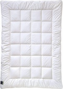 XXXLutz CELOROČNÁ PRIKRÝVKA, 135/200 cm, Billerbeck - Prikrývky & vankúše - 003279011101