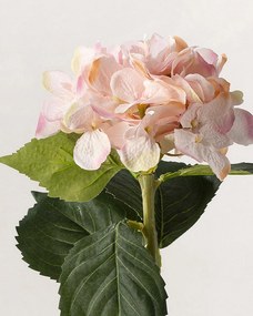 Vetvička hortenzie 50 cm