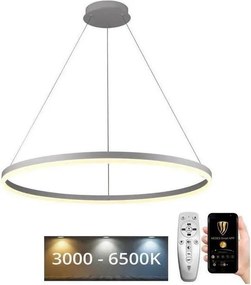 Brilagi - LED Stmievateľný luster na lankách CIRCLE LED/55W/230V 3000-6500K + DO