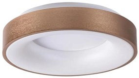 Rabalux 5053 - LED Stropné svietidlo CARMELA LED/50W/230V