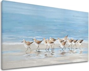 Obraz na plátne ČAJKY