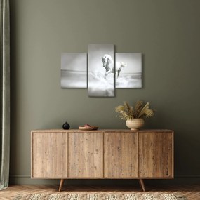 Obraz - Biely kôň (90x60 cm)