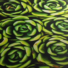 Obraz skalníc (120x50 cm)