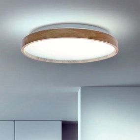 Brilagi - LED Stmievateľné stropné svietidlo ALSON LED/48W/230V 3000-6500K + DO