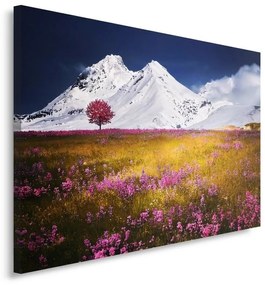 Obraz na plátně, Horská krajina Příroda - 100x70 cm