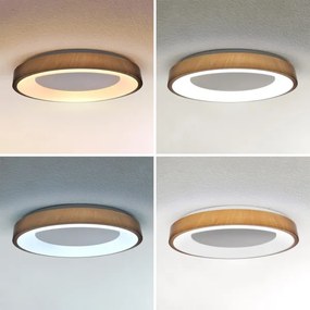 Brilagi - stmievateľné LED svietidlo DORIA LED/60W/230V 3000-6500K priemer 60 cm + diaľkové ovládanie