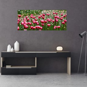 Obraz tulipánov (120x50 cm)