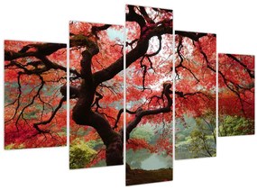 Obraz červeného japonského javora, Portland, Oregon (150x105 cm)