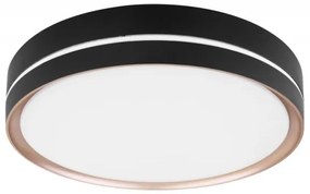 Globo 41759-24 - LED Stmievateľné stropné svietidlo MANNI LED/24W/230V + DO