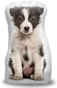 Sablio 3D vankúš Šteniatko border kólie