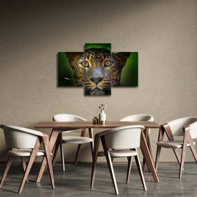 Obraz - Portrét leoparda, Sri Lanka (90x60 cm)