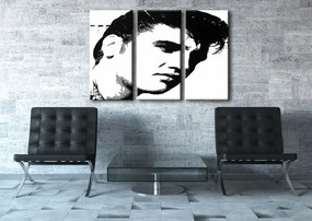 Ručne maľovaný POP Art obraz ELVIS | rôzne rozmery