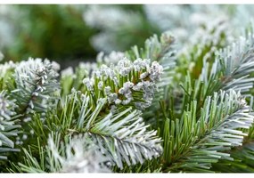 Vianočný veniec, priemer 54 cm