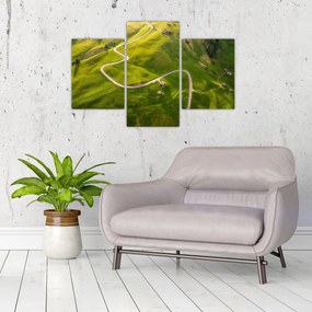Obraz - Náhorná lúka (90x60 cm)