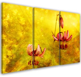 Obraz na plátně třídílný, Zaskacené tulipásy květin - 120x80 cm
