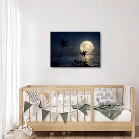 Sklenený obraz - Pláž za splnu (70x50 cm)