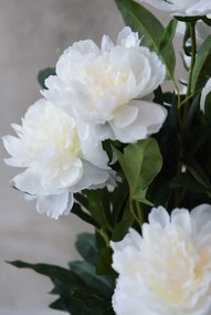 Umelá pivonka v krémovom kvetináči PEONY, výška 70 cm, biela