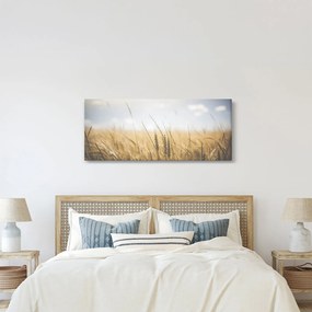 Obraz obilia (120x50 cm)
