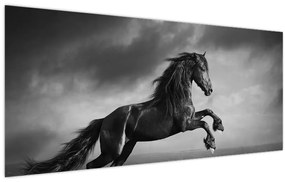 Obraz - Kôň čiernobiely (120x50 cm)