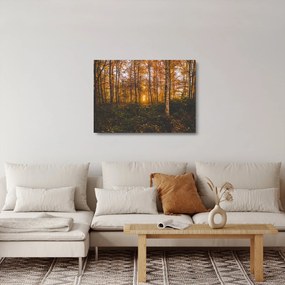 Sklenený obraz jesenného lesa (70x50 cm)