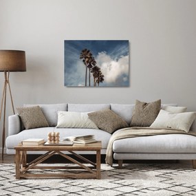 Sklenený obraz - Palmová dráma (70x50 cm)
