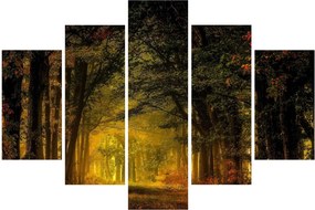 Obraz lesu (150x105 cm)