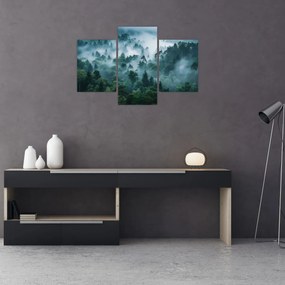Obraz - Les v hmle (90x60 cm)