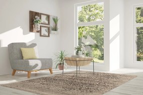 Osta, Kusový koberec Patina 41001/620, 80x140, hnedá, chodba / predsieň