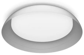 Philips - LED Stmievateľné stropné svietidlo FLETA LED/10W/230V 2700K číra