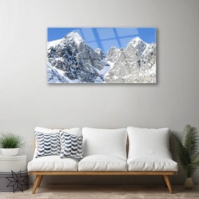 Obraz plexi Hora sneh príroda 100x50 cm