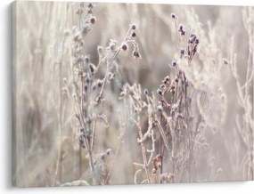 Obraz - Rastlina (70x50 cm)