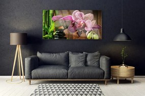Obraz na akrylátovom skle Kvetiny bambus rastlina 120x60 cm