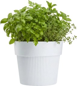 Sada 4 ks květináčů Silva Line bílá