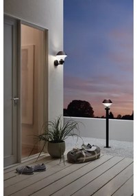 Eglo 97245 - Vonkajšia lampa VERLUCCA 1xE27/60W/230V