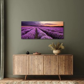 Obraz - Levanduľové pole pri západe slnka (120x50 cm)