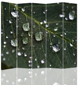 Ozdobný paraván Zelené listy kapky vody - 180x170 cm, päťdielny, klasický paraván