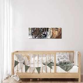 Obraz tigra (s hodinami) (90x30 cm)