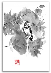 Gario Obraz na plátne Čiernobiely vrabec na konári - Péchane Rozmery: 40 x 60 cm