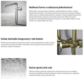 Deante Silia, sprchová batéria s ručnou sprchovou súpravou, zlatá matná, BQS_R41M