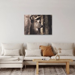 Obraz - Jeleň v lese (70x50 cm)