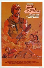 Ilustrácia Lone Wolf Mcquade 02