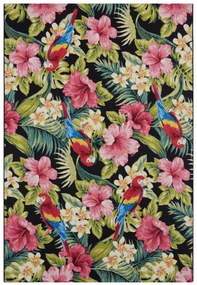 Koberec Hanse Home Flair Tropical Feeling viacfarebný