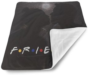 Sablio Deka pre bábätko Seriál Priatelia FRIENDS Bozk - 90x120 cm