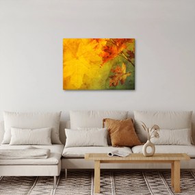 Obraz - Jesenné listy (70x50 cm)